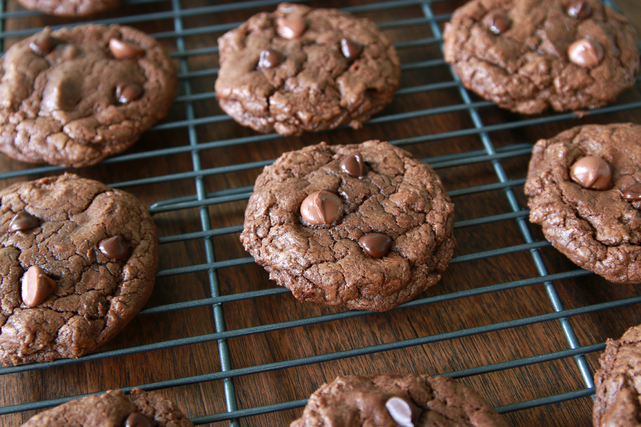 Cuatro Choco Cookies | Milk & Cereal